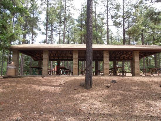 Pine Cone Cabin Villa Pinetop-Lakeside Kültér fotó